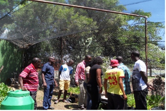 CEFE gallery photo 18